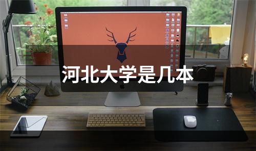 河北大学是几本