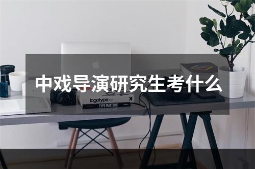 中戏导演研究生考什么