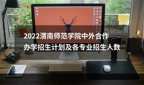 2022渭南师范学院中外合作办学招生计划及各专业招生人数