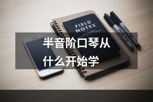 半音阶口琴从什么开始学