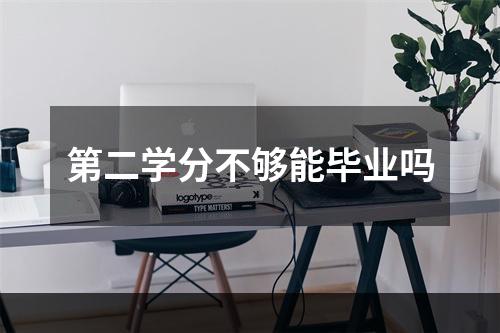 第二学分不够能毕业吗