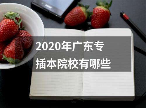 2020年广东专插本院校有哪些