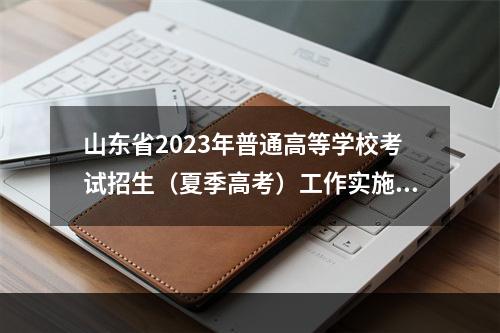 山东省2023年普通高等学校考试招生（夏季高考）工作实施办法