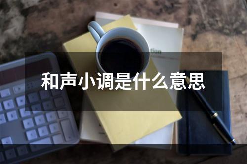 和声小调是什么意思