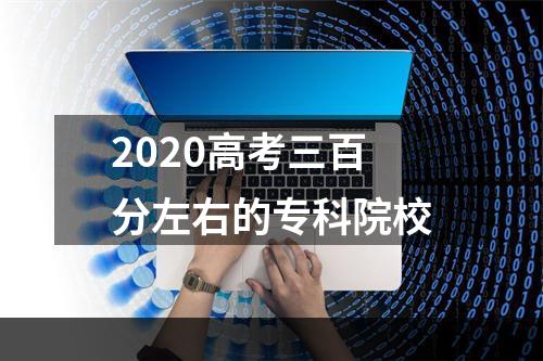 2020高考三百分左右的专科院校