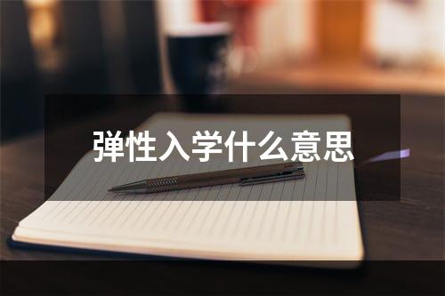 弹性入学什么意思