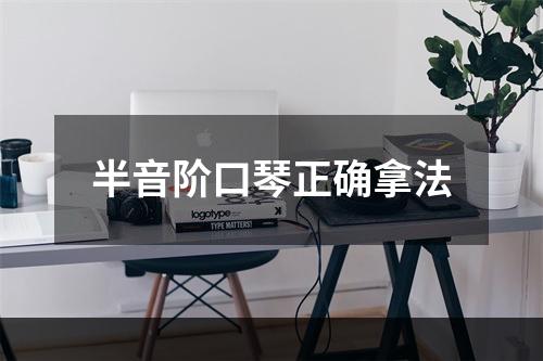 半音阶口琴正确拿法