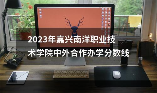 2023年嘉兴南洋职业技术学院中外合作办学分数线