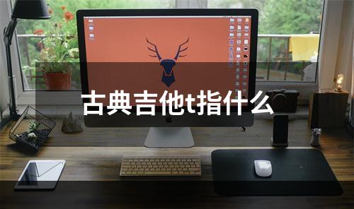 古典吉他t指什么