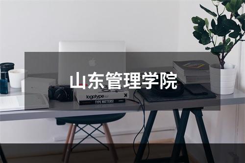 山东管理学院