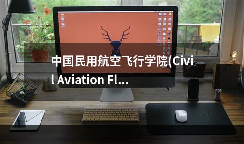 中国民用航空飞行学院(Civil Aviation Flight University of China)