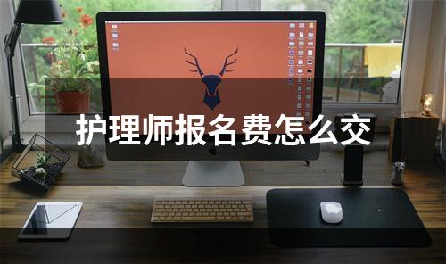 护理师报名费怎么交