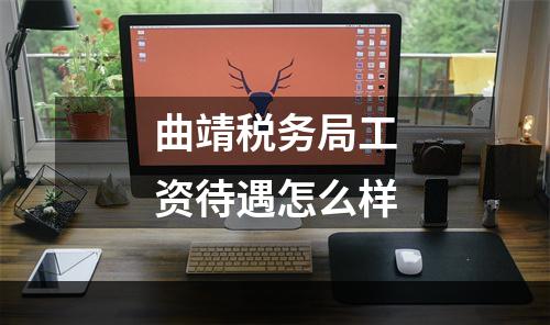 曲靖税务局工资待遇怎么样