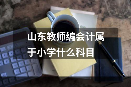 山东教师编会计属于小学什么科目