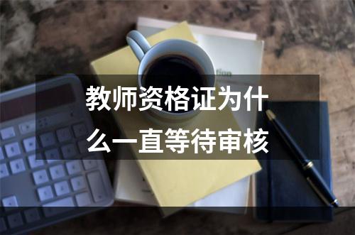 教师资格证为什么一直等待审核