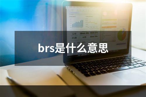 brs是什么意思