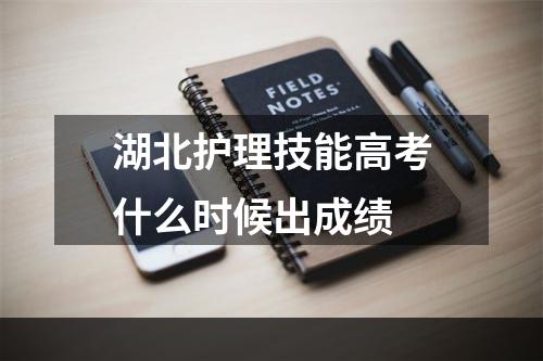 湖北护理技能高考什么时候出成绩