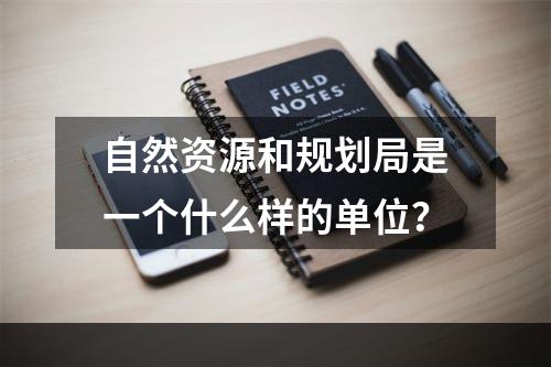 自然资源和规划局是一个什么样的单位？