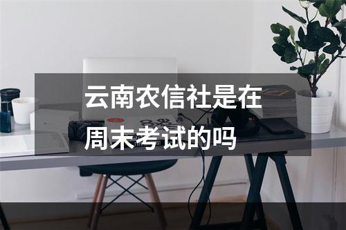 云南农信社是在周末考试的吗