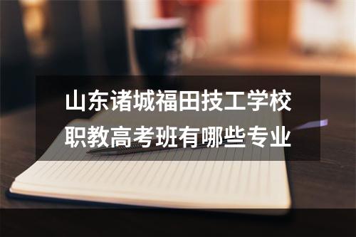 山东诸城福田技工学校职教高考班有哪些专业