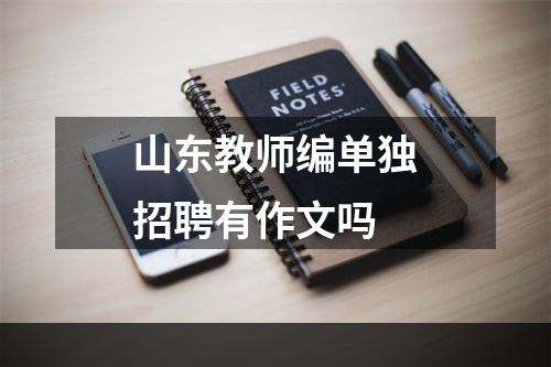 山东教师编单独招聘有作文吗