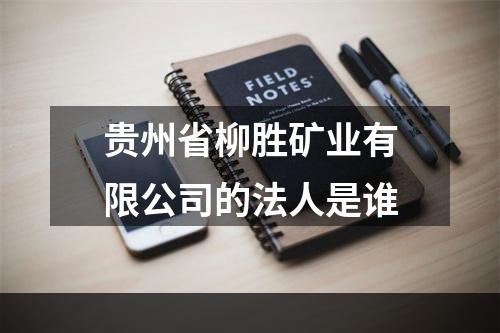 贵州省柳胜矿业有限公司的法人是谁