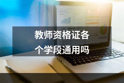 教师资格证各个学段通用吗