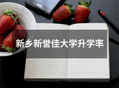 新乡新誉佳大学升学率