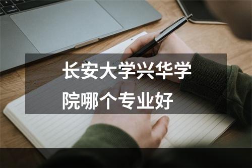 长安大学兴华学院哪个专业好