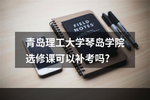 青岛理工大学琴岛学院选修课可以补考吗?