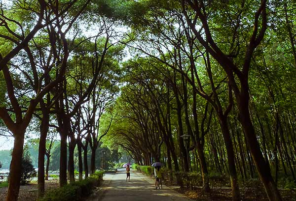 宁波大学